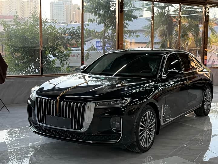 Фото 1 - Hongqi H9