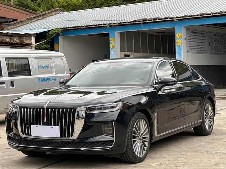Фото 7 - Hongqi H9