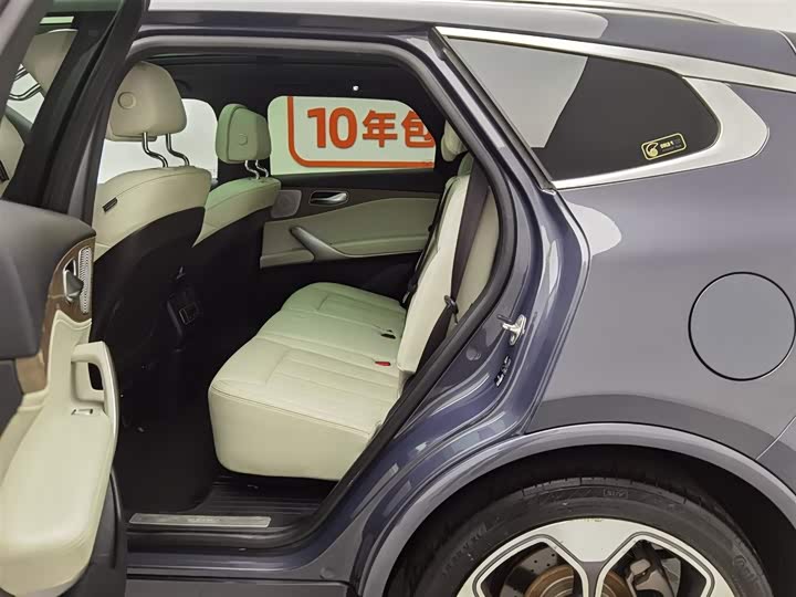 Фото 15 - Denza X