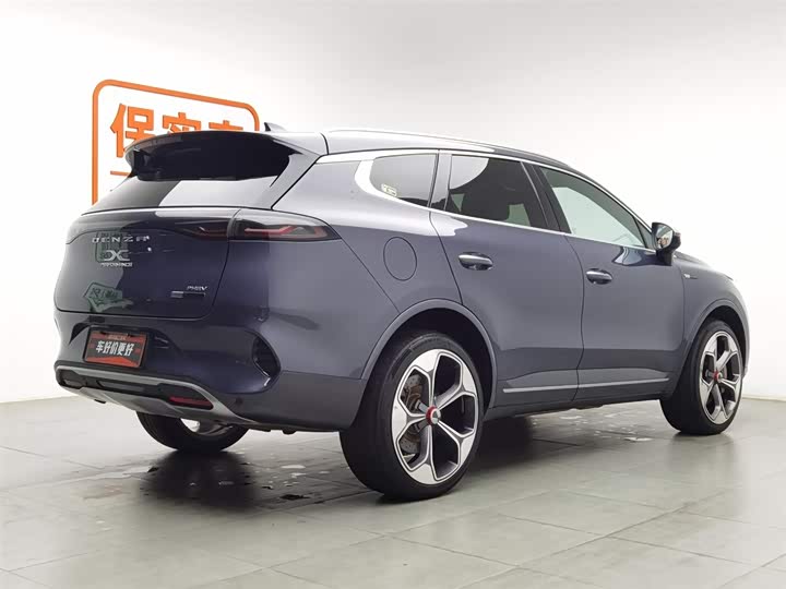 Фото 2 - Denza X