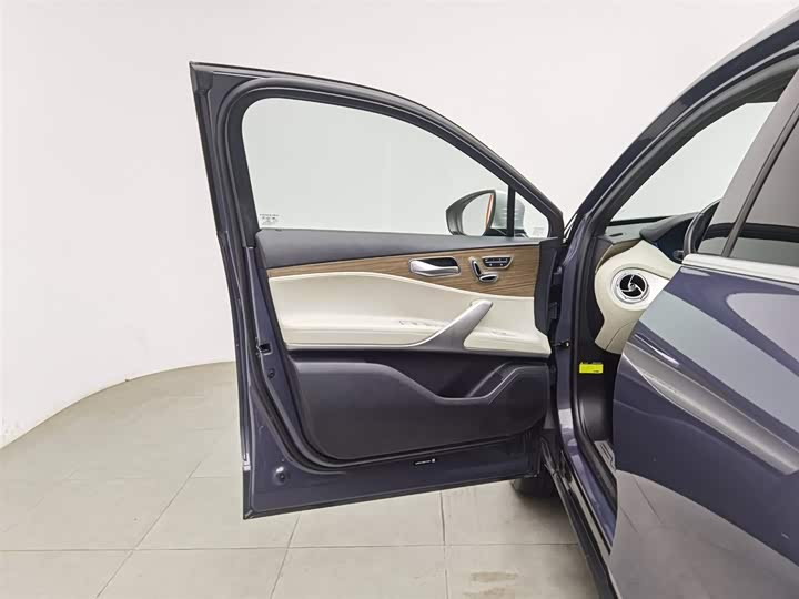 Фото 8 - Denza X