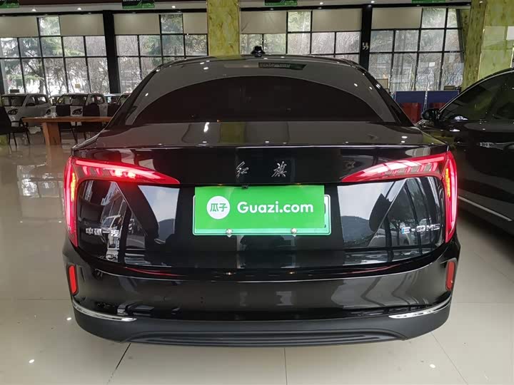 Фото 8 - Hongqi E-QM5