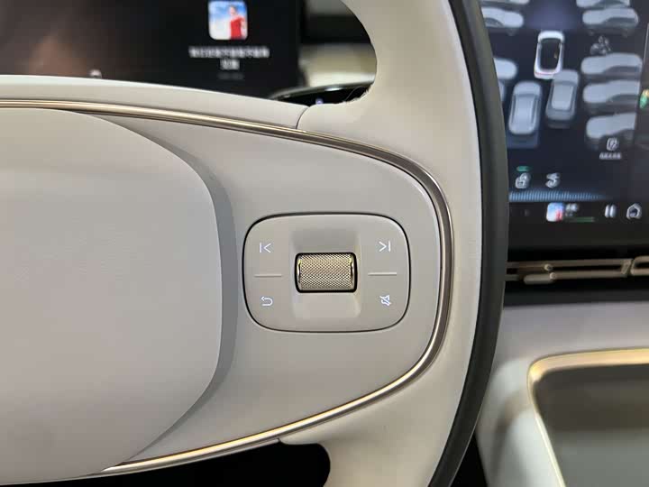 Фото 19 - XPeng F57