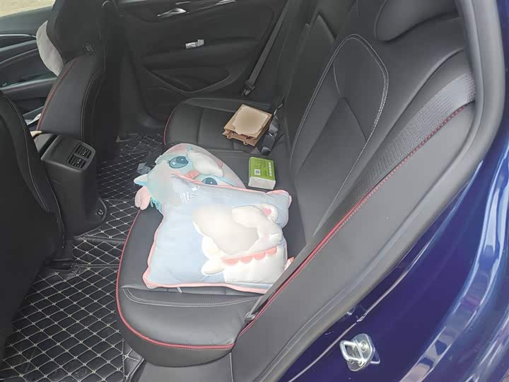 Фото 13 - Buick Regal