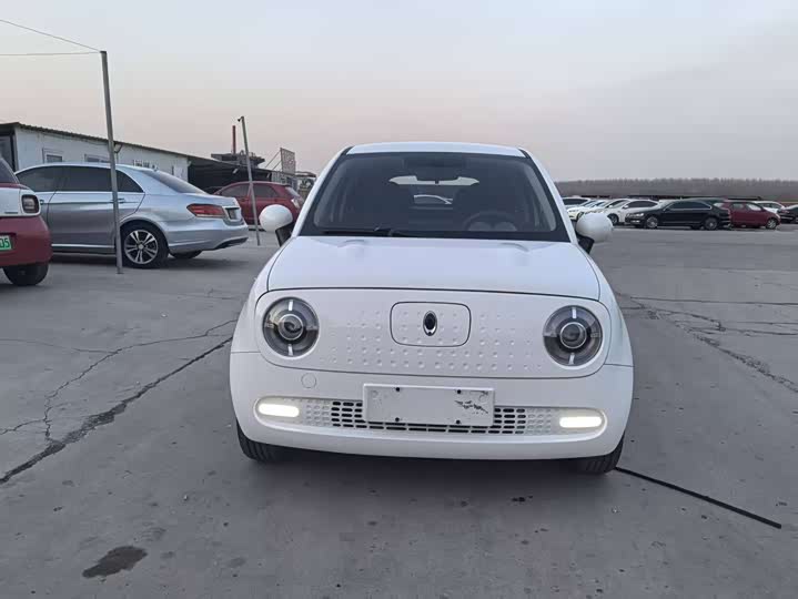 Фото 2 - Ora Black Cat