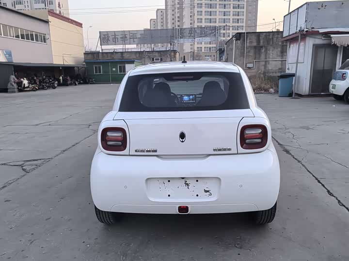 Фото 4 - Ora Black Cat