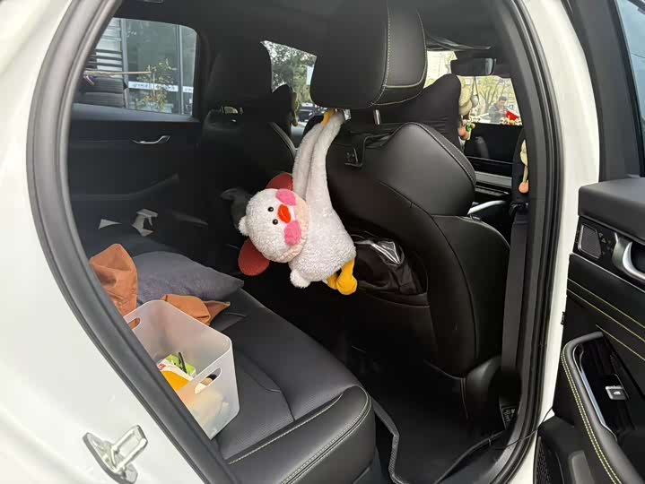 Фото 11 - Geely Preface