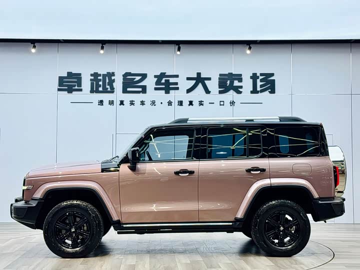 Фото 2 - Tank 300