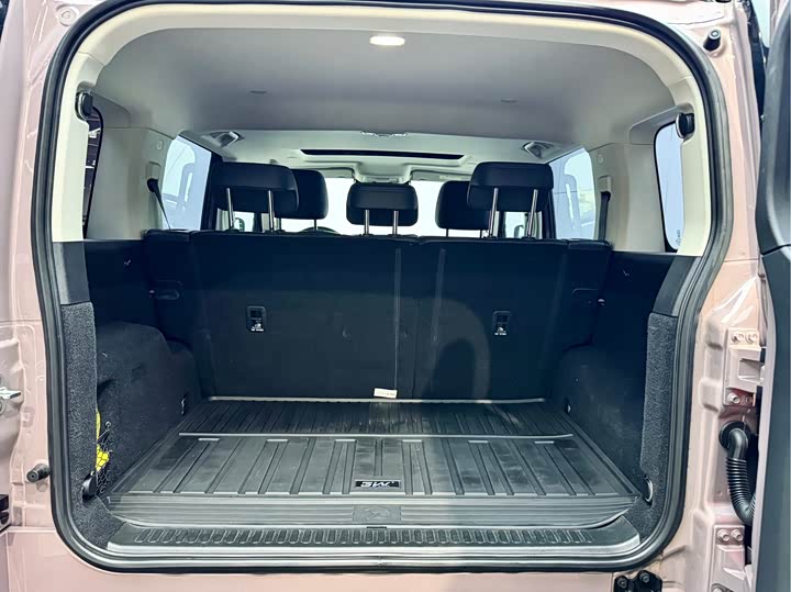 Фото 23 - Tank 300