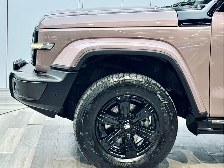 Фото 25 - Tank 300