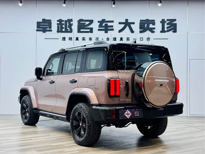 Фото 5 - Tank 300