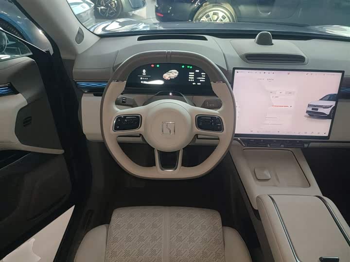 Фото 11 - Zeekr 7X