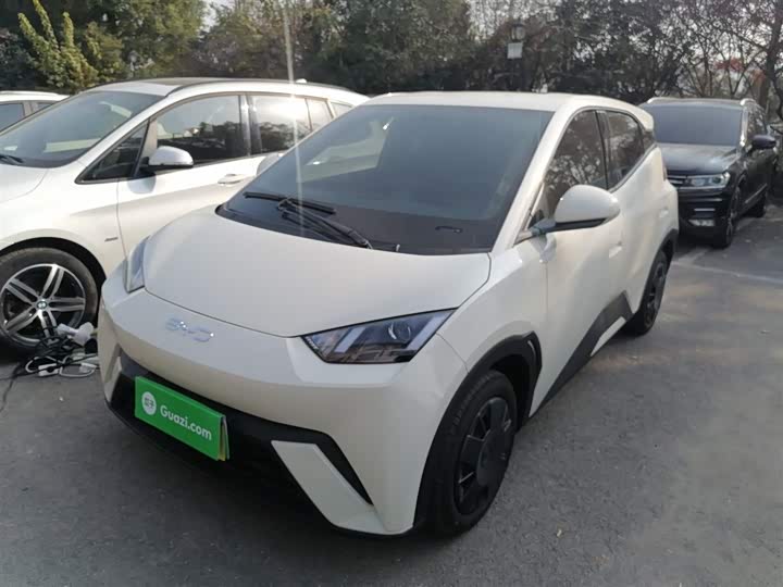 Фото 1 - BYD Seagull