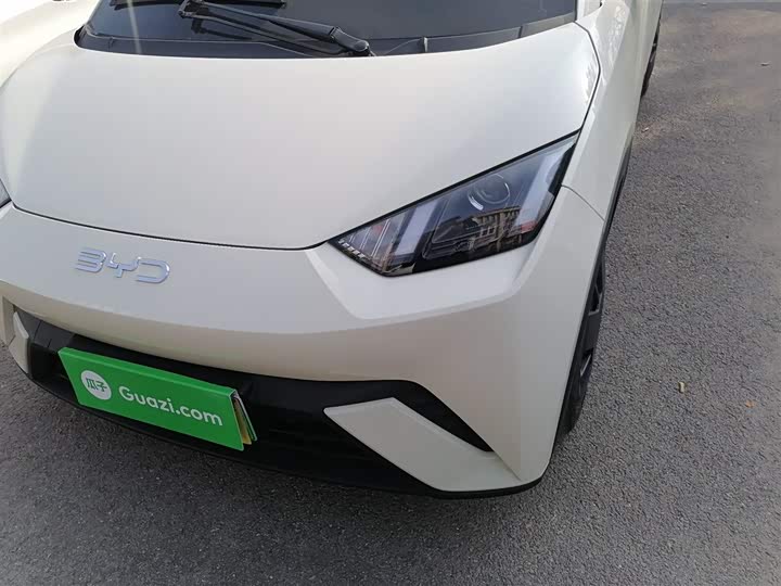 Фото 24 - BYD Seagull