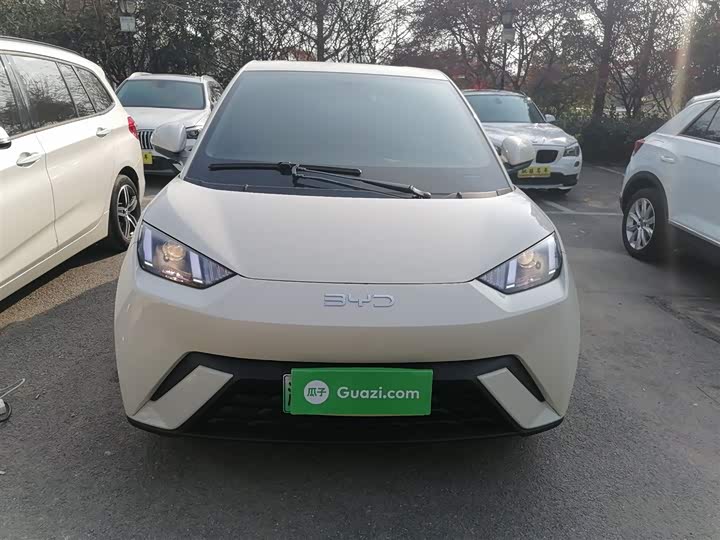 Фото 3 - BYD Seagull