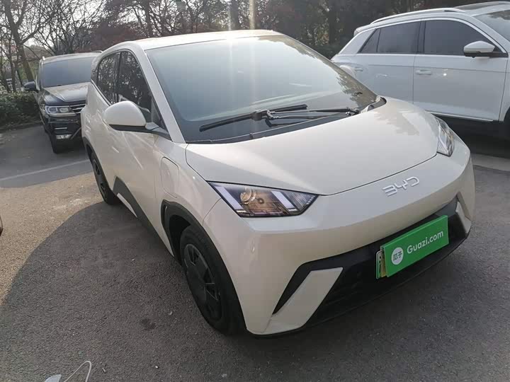 Фото 4 - BYD Seagull