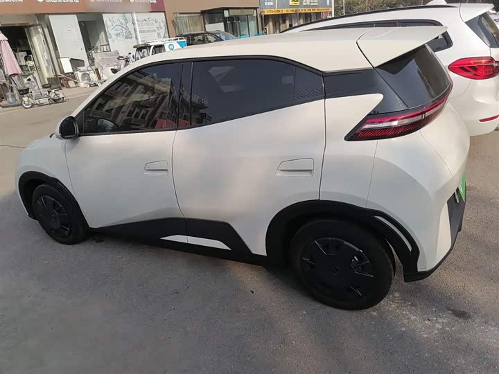 Фото 5 - BYD Seagull