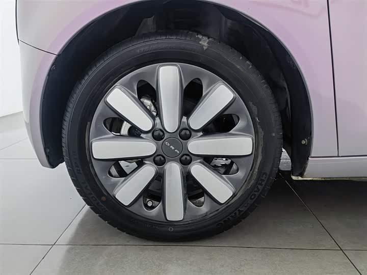 Фото 17 - Ora Black Cat