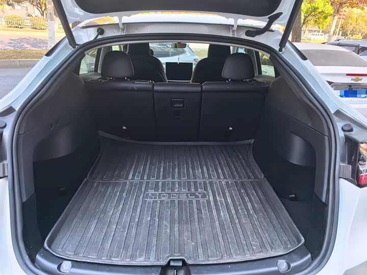 Фото 19 - Tesla Model Y