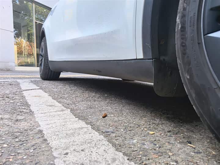 Фото 21 - Tesla Model Y