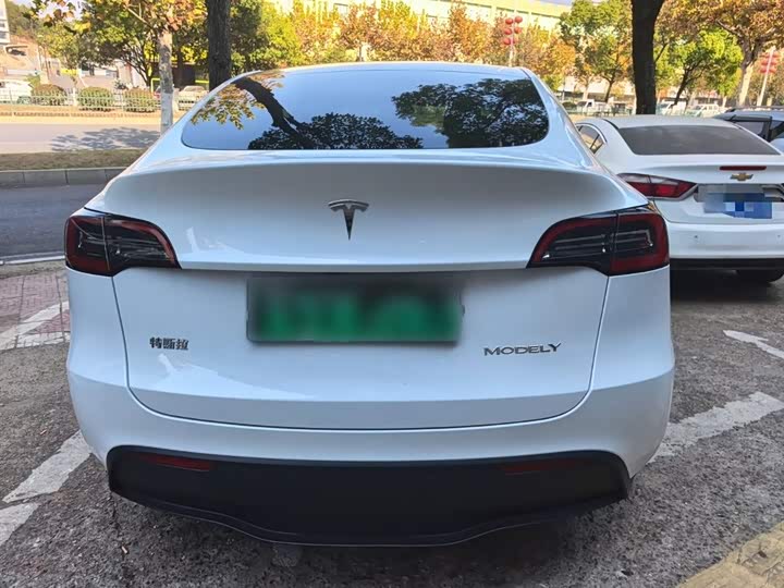 Фото 6 - Tesla Model Y