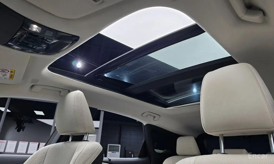 Фото 19 - Lexus RX