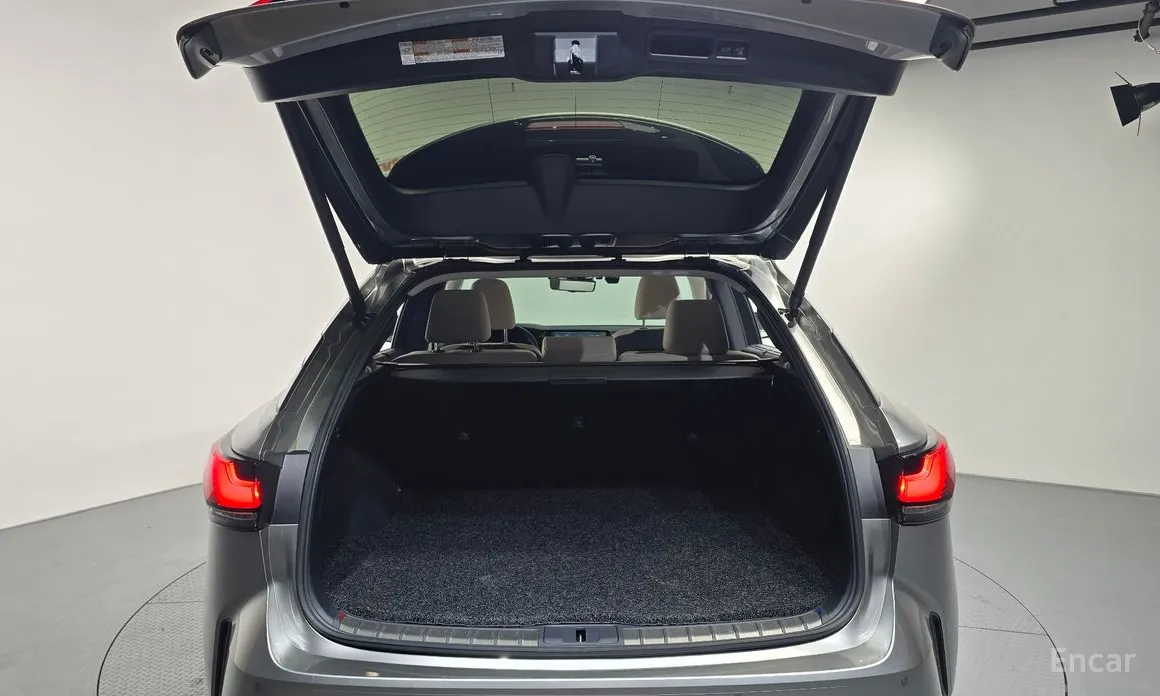 Фото 20 - Lexus RX