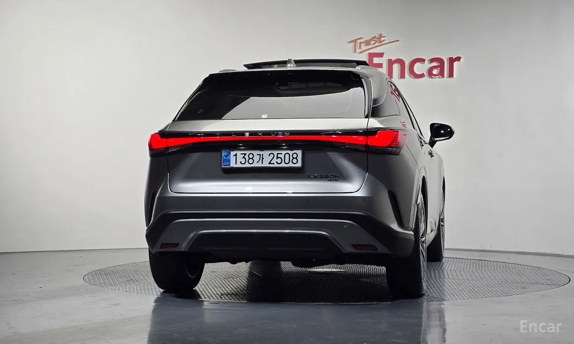 Фото 4 - Lexus RX