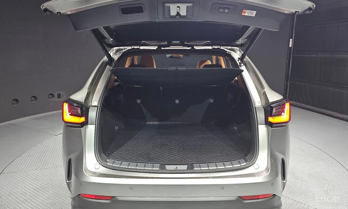 Фото 20 - Lexus NX