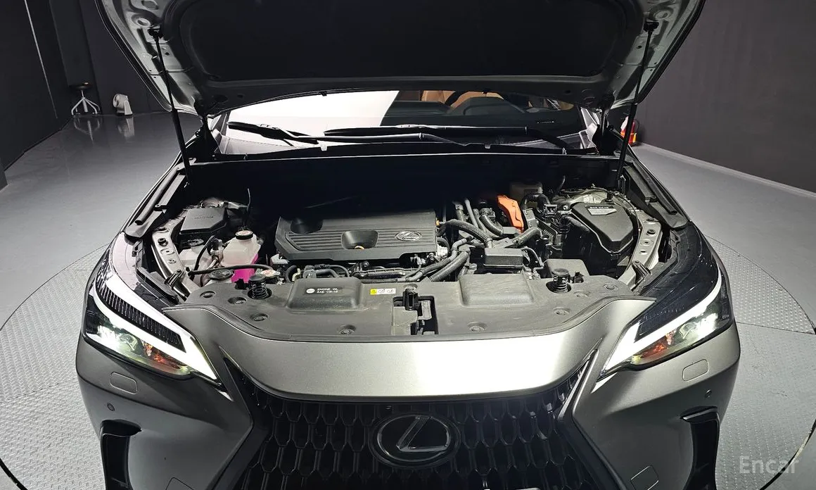 Фото 6 - Lexus NX