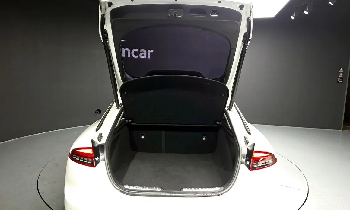 Фото 20 - Kia Stinger