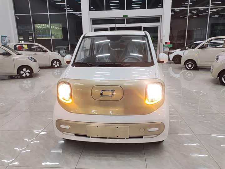 Фото 3 - Bestune Pony