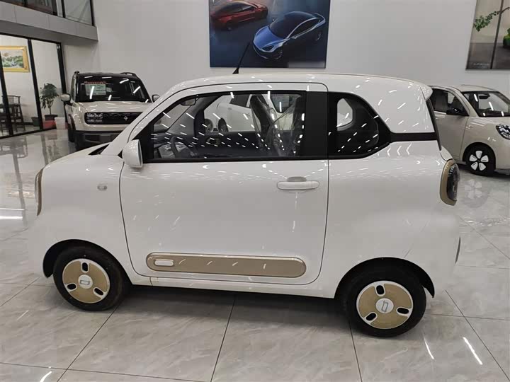 Фото 5 - Bestune Pony