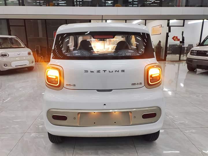 Фото 6 - Bestune Pony