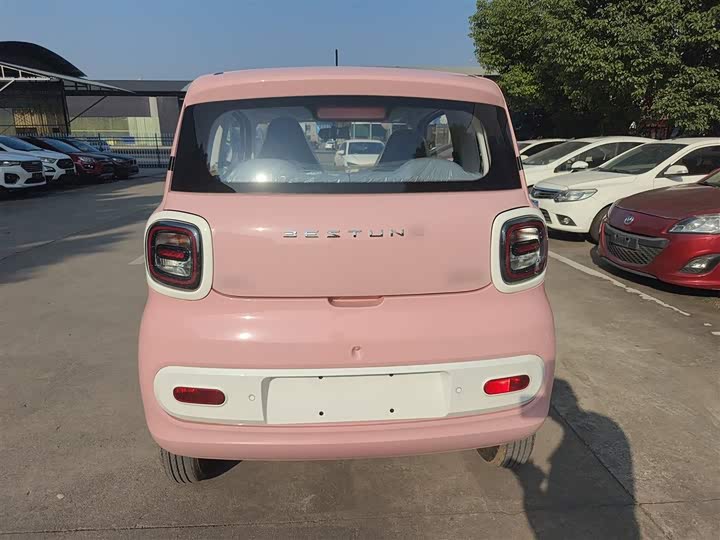 Фото 6 - Bestune Pony