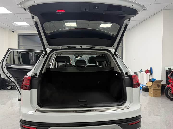 Фото 23 - Volkswagen Tayron