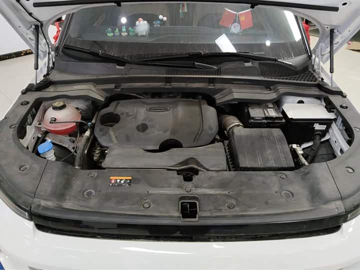 Фото 10 - Geely Icon