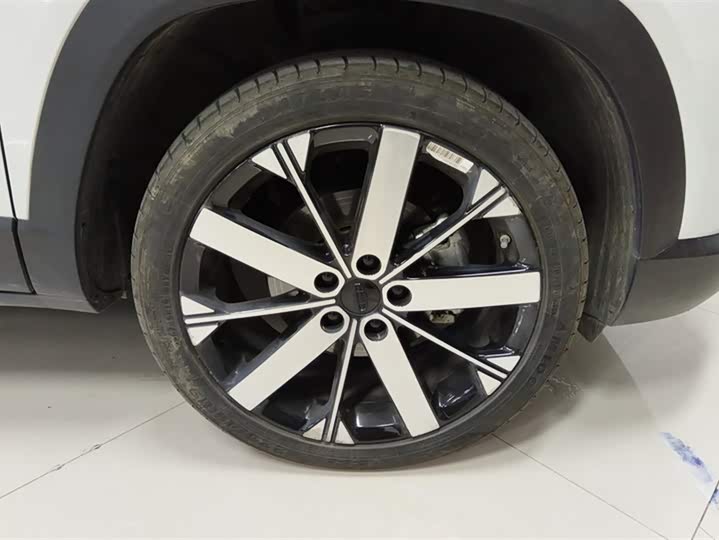 Фото 6 - Geely Icon