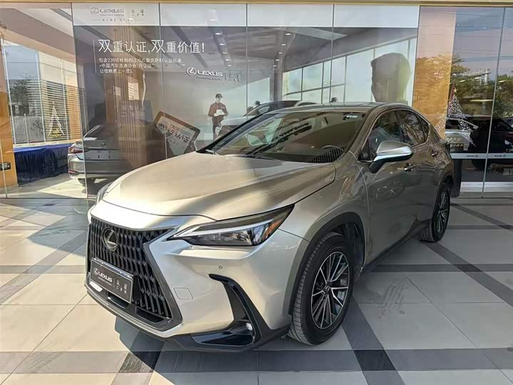 Фото 1 - Lexus NX