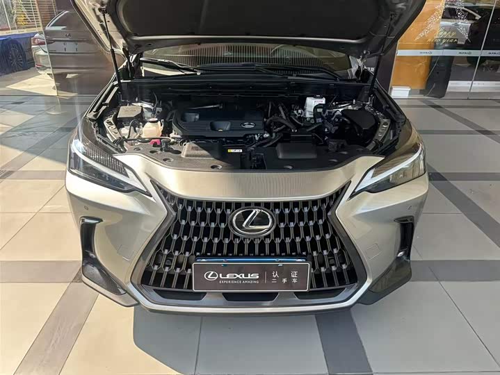 Фото 2 - Lexus NX