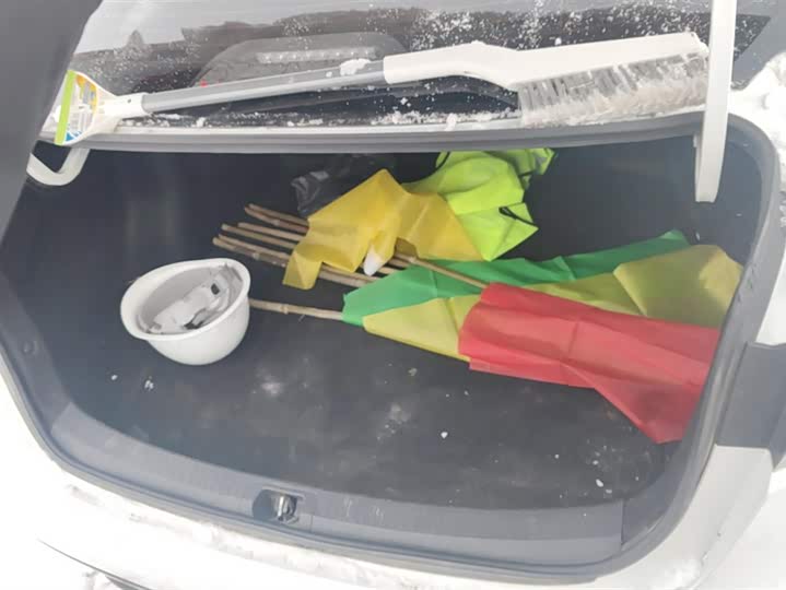 Фото 4 - Toyota Levin