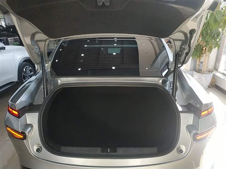 Фото 9 - XPeng P7