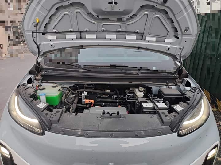 Фото 11 - BAIC Arcfox Kaola