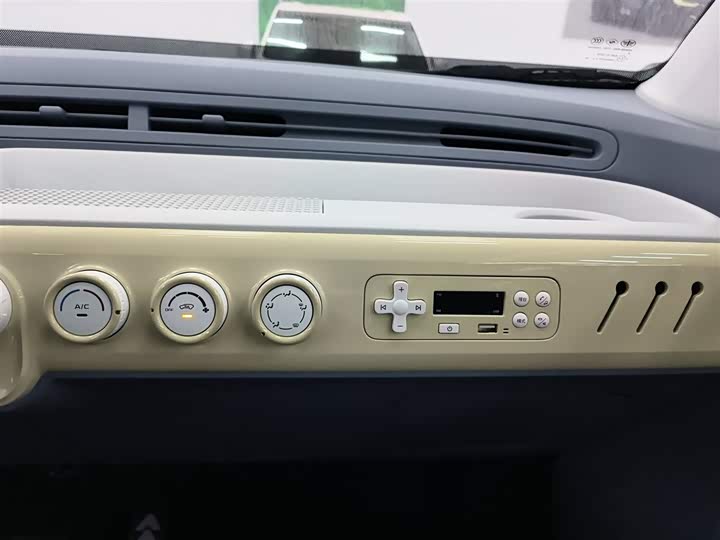 Фото 13 - Bestune Pony