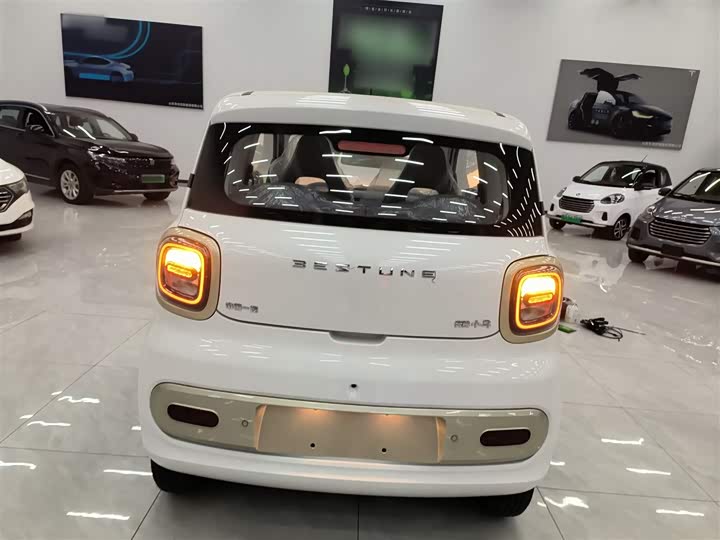 Фото 6 - Bestune Pony