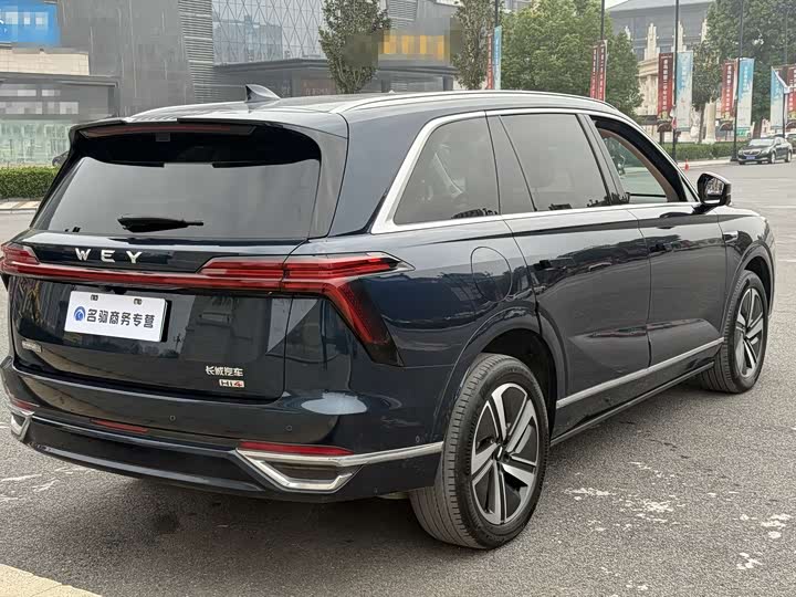 Фото 3 - Wey Lanshan