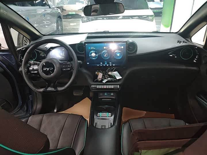 Фото 10 - BYD Dolphin