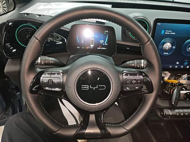 Фото 11 - BYD Dolphin