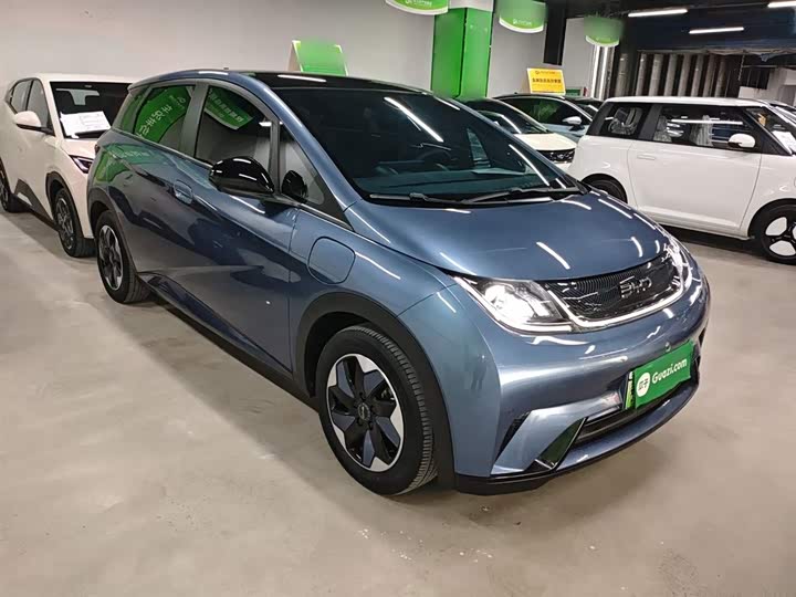 Фото 4 - BYD Dolphin