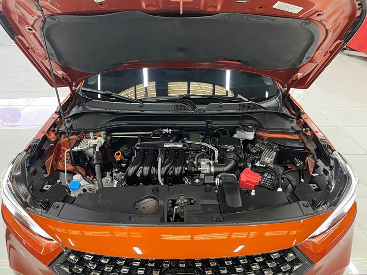 Фото 16 - Honda XR-V